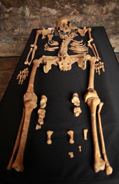 Скелет жертвы чумы в Чартерхаусе