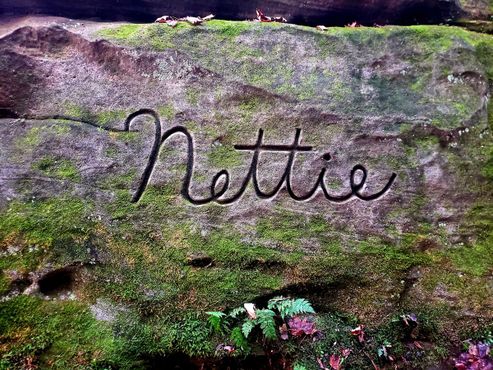 Нетти Уорден