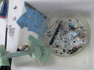 Частицы пластика в образце воды