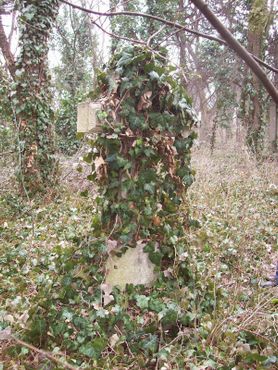 Старое кладбище Цинкоты