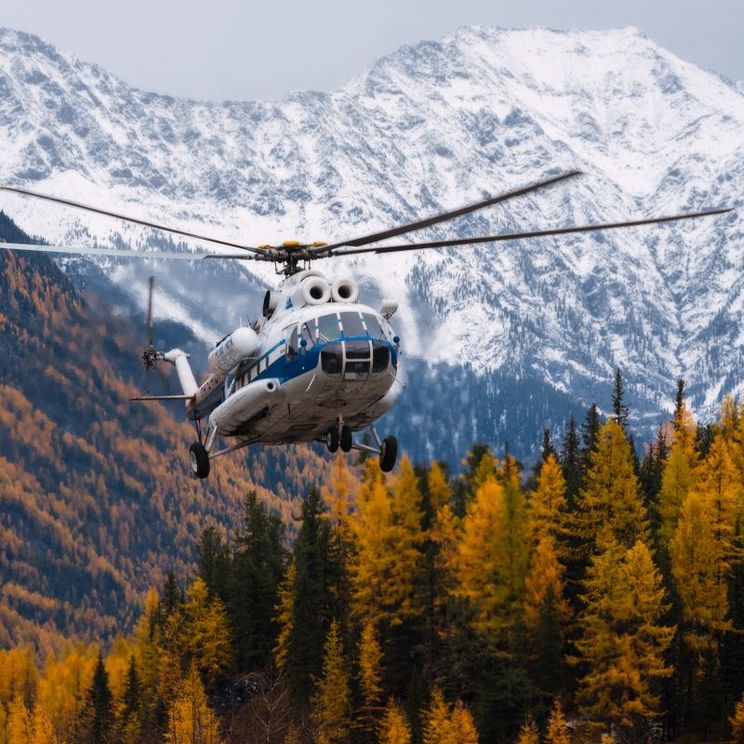 Гостевые домики