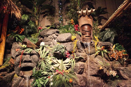 «Дон Бичкомбер»