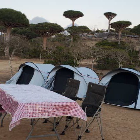 Кемпинги, Глэмпинги, Палатки