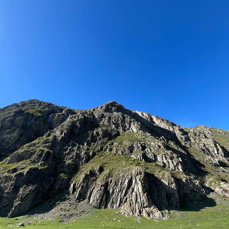 Гостевые домики