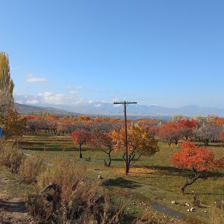Глэмпинги, Отели 3*, Отели 4*, Юрты