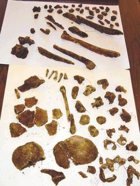 Останки с места захоронения