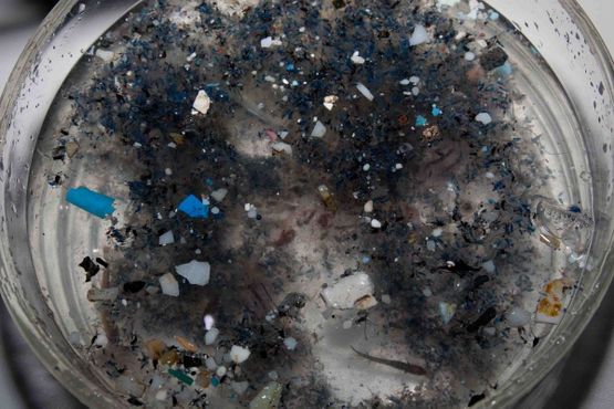 Частицы пластика в образце воды