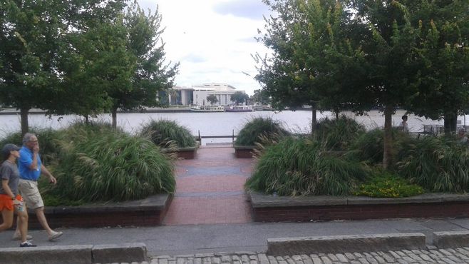 Эхо-камера на Русакис-Плаза