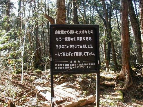 Аокигахара, лес самоубийц