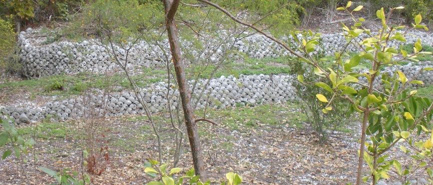 Стены из ракушек в заповеднике Оттер-Маунд