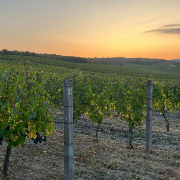 Бутик-отели