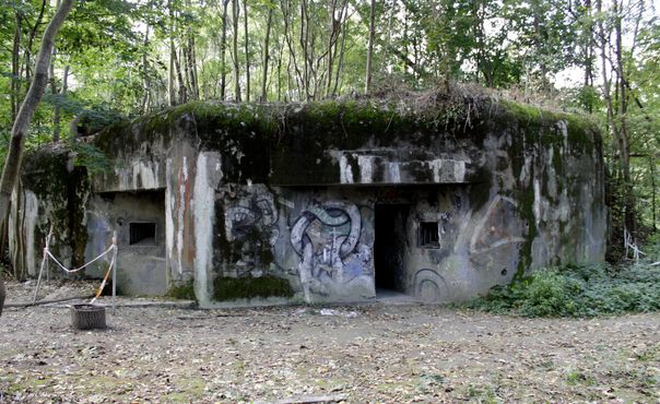 Один из заброшенных бункеров в лесу