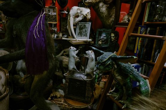 Кабинет редкостей Крэнфилда