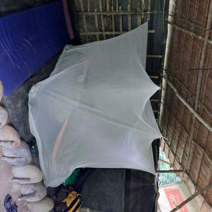 Отели 3*, Отели 4*, Бутик-отели, Палатки