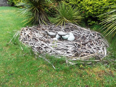 Яйца в воссозданном гнезде вымершей птицы Моа