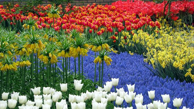 Парк Кёкенхоф