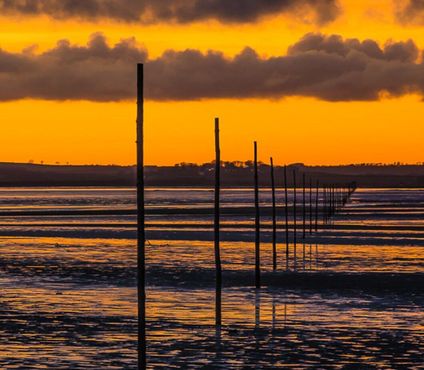 Тропа Пилигримс-Уэй