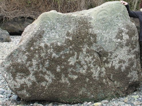 Петроглифы на скале Халиц