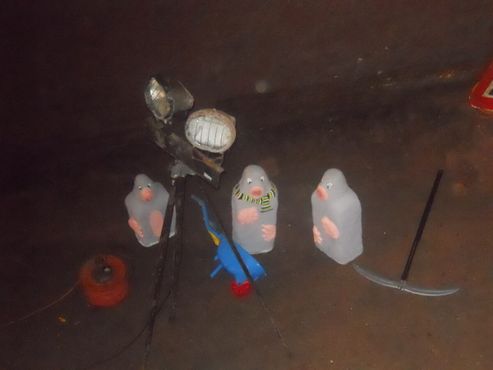 Кроты в туннелях Уильямсона, вид, обитающий исключительно в этих подземных проходах