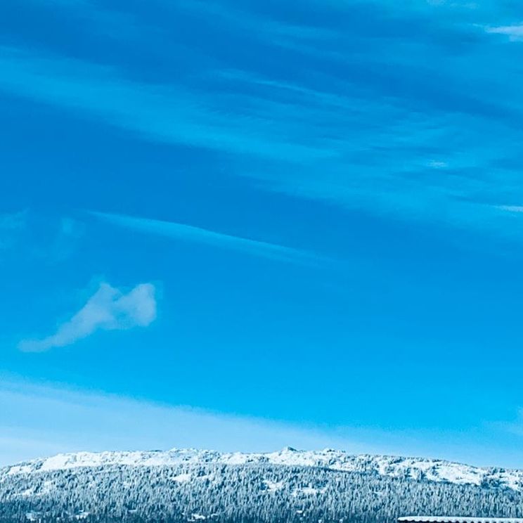 Гостевые домики