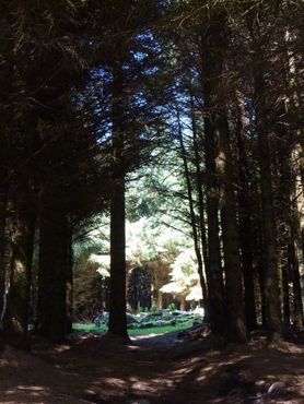 Клиновидная гробница Баллиедмондафф