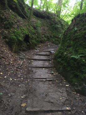 Тропа Дарн-Уок