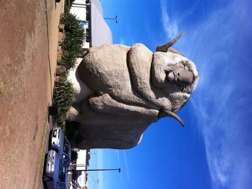 Большой меринос в Гоулберне, Австралия