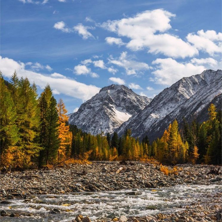 Гостевые домики