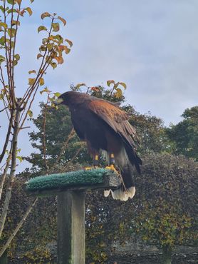 Замок Данробин