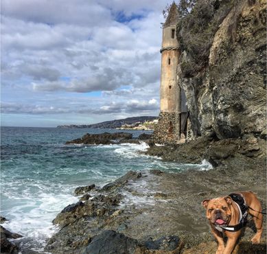 Пиратская башня на пляже Виктория