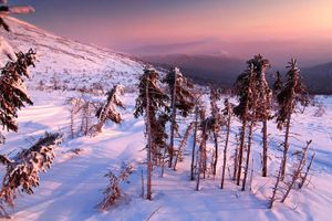 Экскурсии  в Екатеринбурге