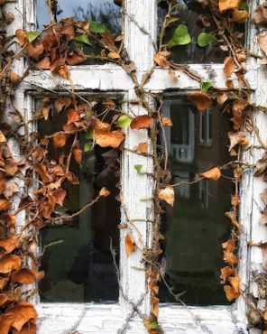 Больничный центр Краунсвилля, осень 2017 г.