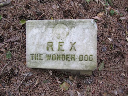 Кладбище домашних животных Клара-Глен