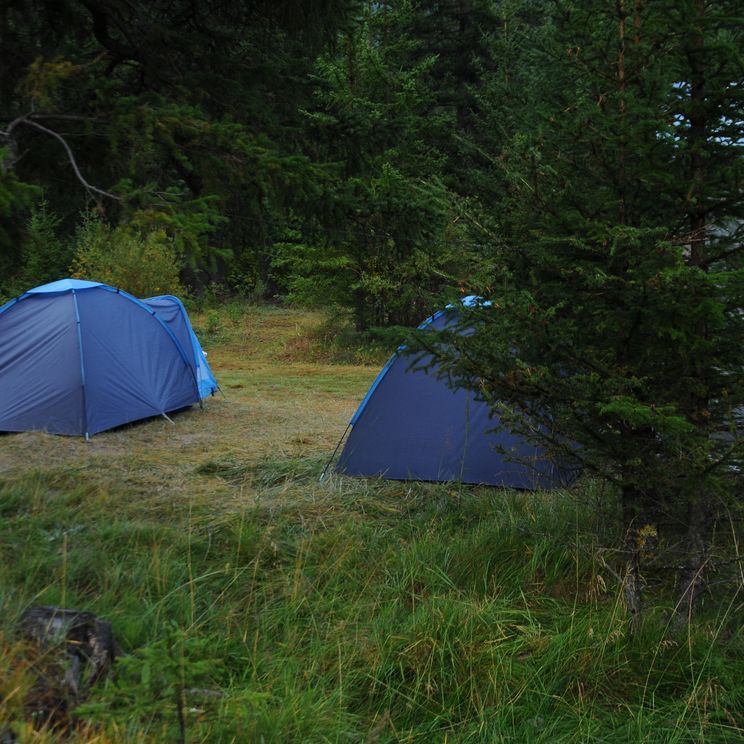 Кемпинги, Гостевые домики