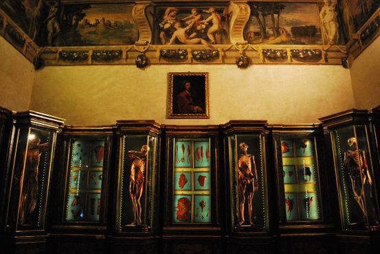 Анатомическая выставка в музее Палаццо Поджи