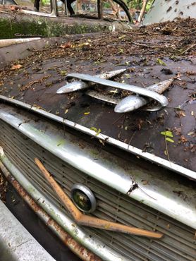 «Город старых машин», Джорджия, США