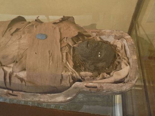 Египетская мумия в музее