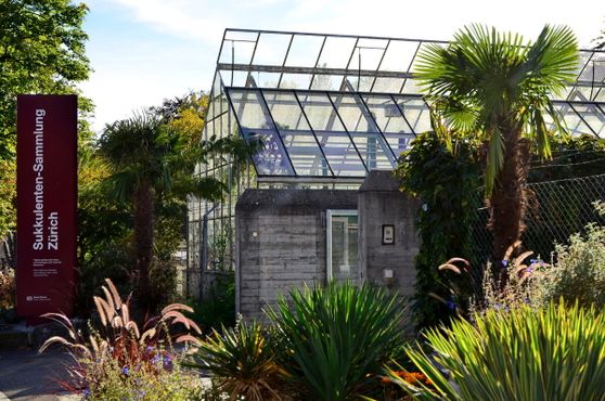 Главный вход