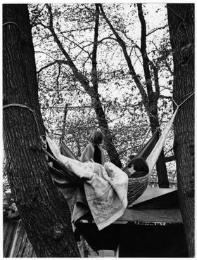 Протестующие на деревьях в 1971 году