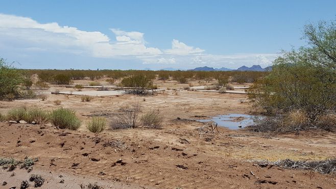 Калибровочная мишень