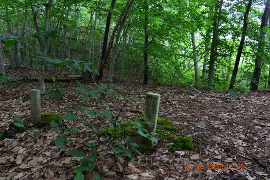 Кладбище чумного дома