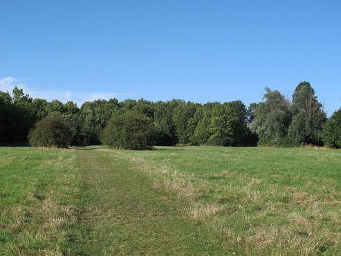 Тропа в дендрарии Ли-Вэлли к северу от Лондона
