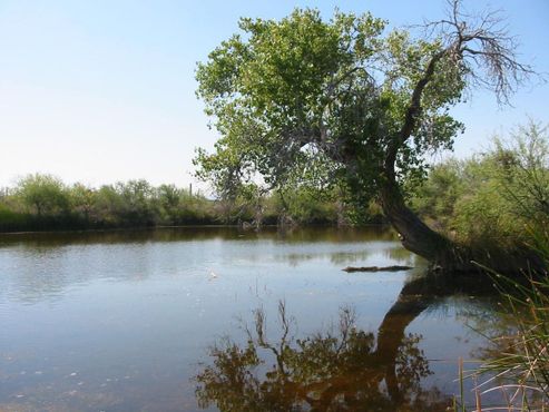 Источник Китобакито