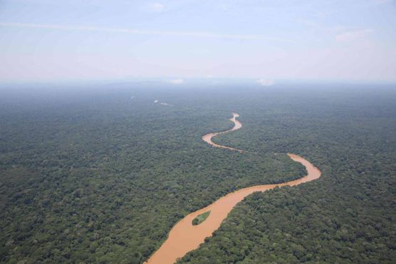 Река петляет по джунглям в заповеднике Окапи