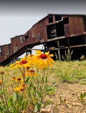 Тропа Виндикейтор-Вэлли