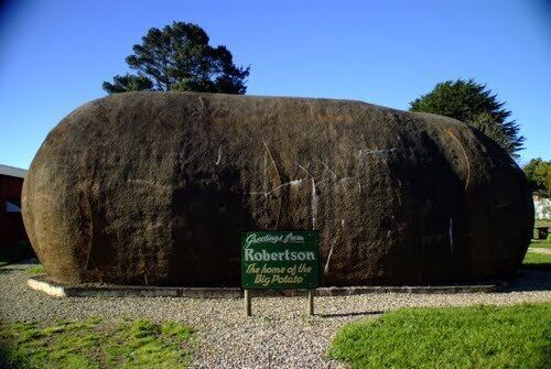 Гигантская картофелина в Робертсоне, Австралия. (Panoramio)