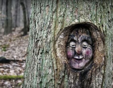 Лица, вырезанные на деревьях