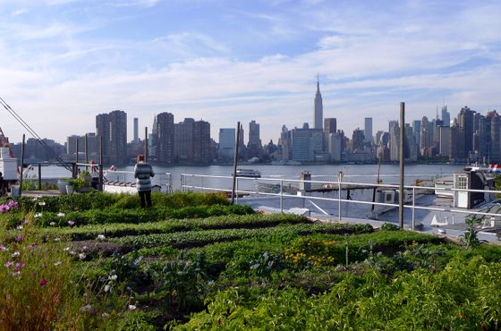 Вид на Нью Йорк с фермы, расположенной на крыше военно-морской верфи