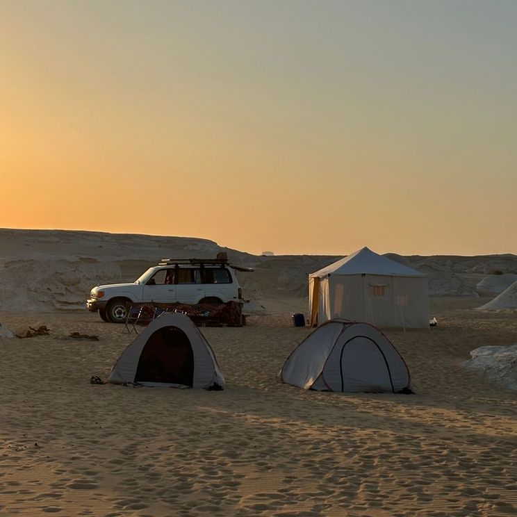 Отели 4*, Бутик-отели, Хаусботы, Палатки