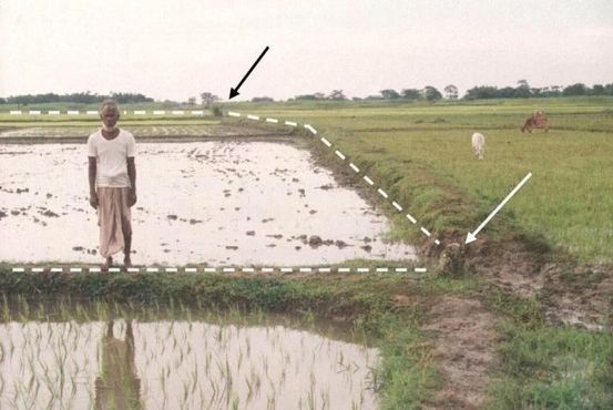 Пунктирная линия — международная граница. Бангладешский фермер на переднем плане